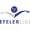 Чемпионат Турции Efeler League