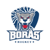 Borås HC