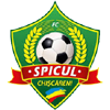 Spicul Chiscareni