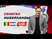 СЕНЕГАЛ - НИДЕРЛАНДЫ. Прогноз Гусева