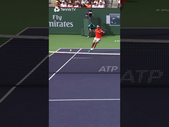 Roger Federer Wins CRAZY Point Vs Novak Djokovic 