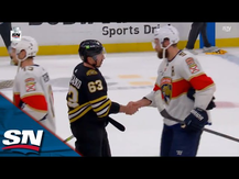 Bruins and Panthers Exchange Handshakes After Six-game Series